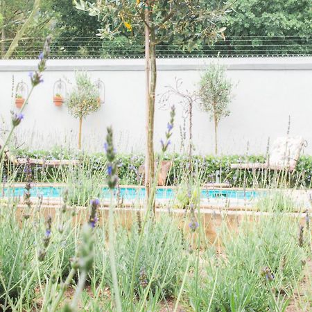 Olive Tree Lodge Paarl Exterior foto