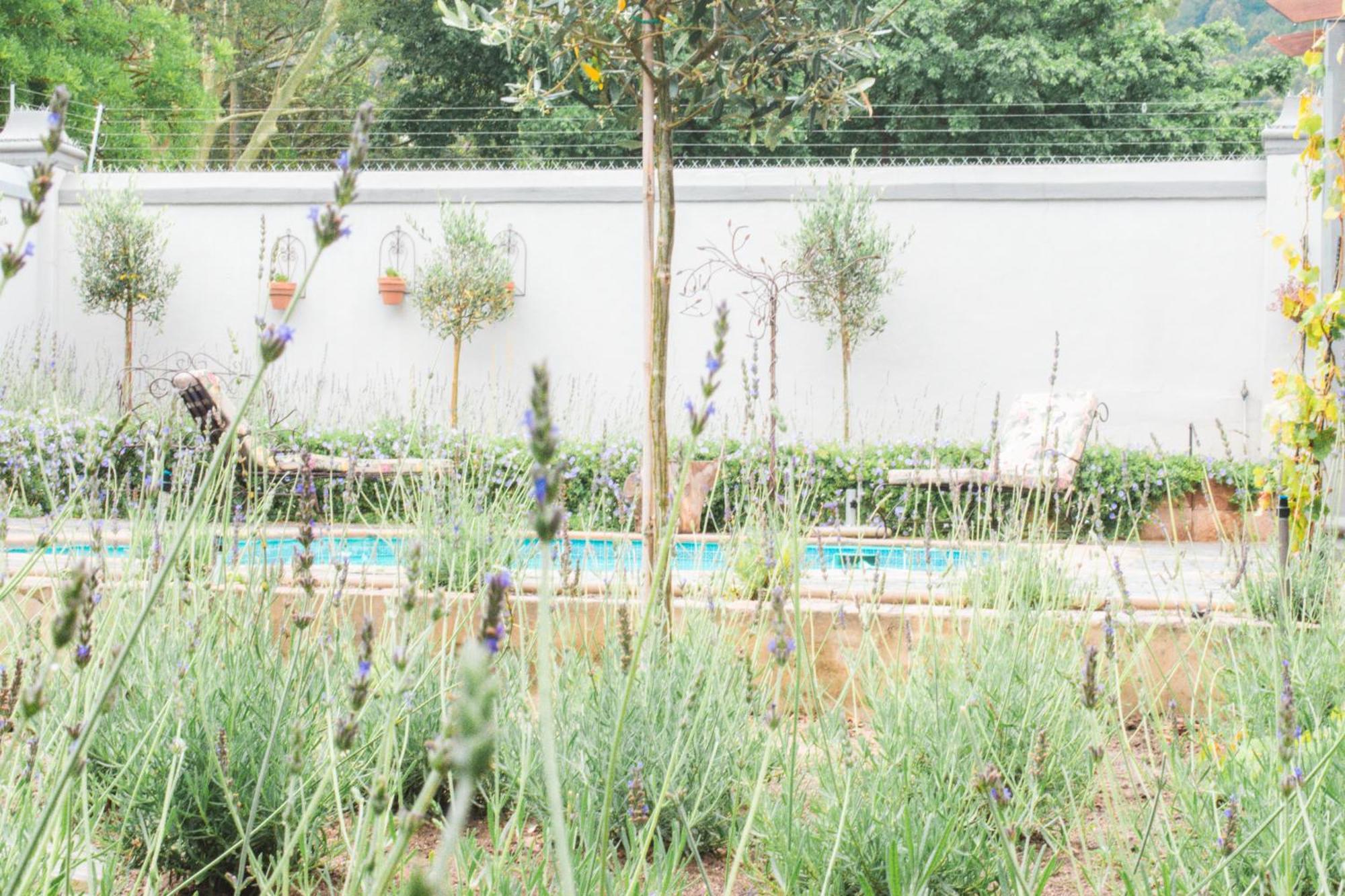 Olive Tree Lodge Paarl Exterior foto